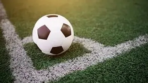 国际乒联助力东京奥运延期，积极制定应对策略